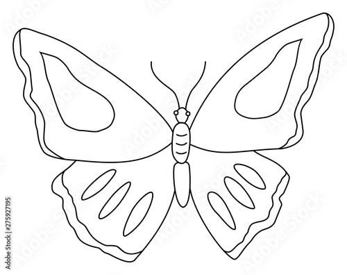 butterfly clipart outline doodle vector illustration coloring book for children adorable canvas print adorab veronika