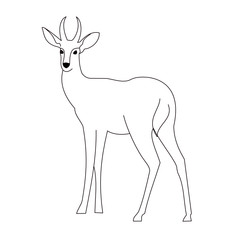 Outline vector illustration of Gazelle