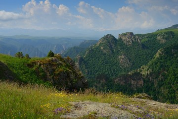 Fototapeta premium Summer