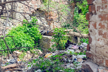 Garbage dump in the old destroyed building, environmental protection