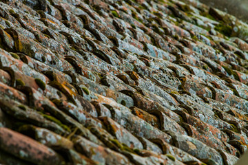 Detail of the old roof tiles