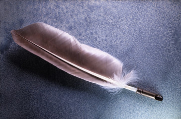 Quill Feather background