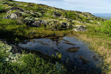 Swampiness of highland tundra in the north