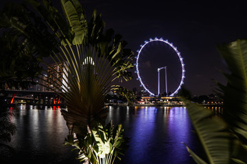 Singapore night life