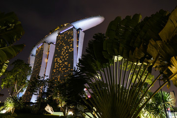 Singapore night life