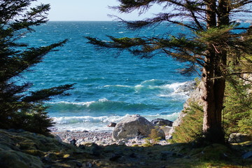 Fototapeta premium View on coast of norwegian sea