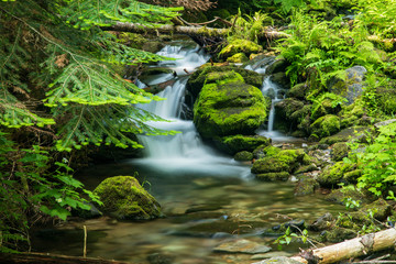 Obraz premium North Fork Placer Creek Idaho with beautiful waterfall, rocks and trees