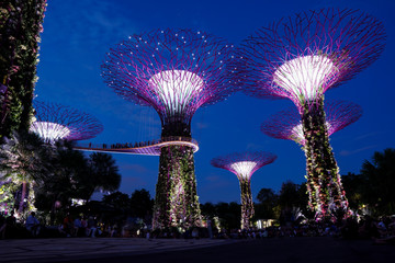 Singapore night life