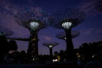 Singapore night life