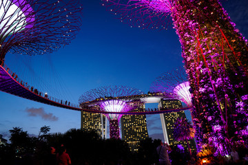 Singapore night life