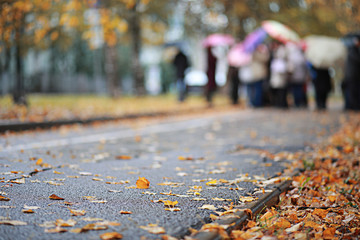 Autumn rain in the park