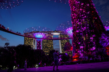 Singapore night life
