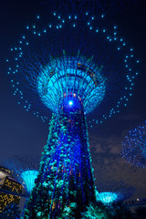 Singapore night life