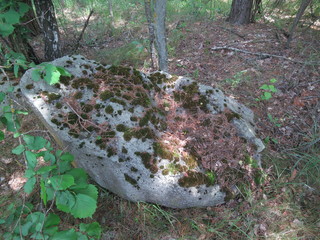 A huge stone lying in the forest