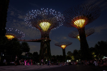 Singapore night life