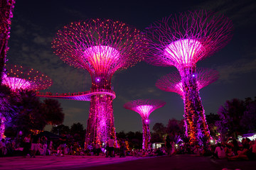Singapore night life