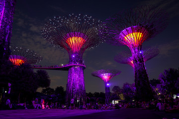 Singapore night life