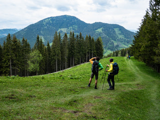 Hikers in a very green landscape enjoy the wonderful view