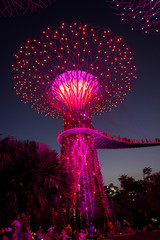 Singapore night life