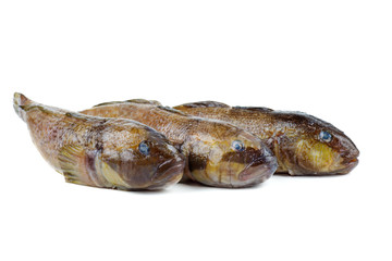 Three fresh round goby fishes isolated on white background