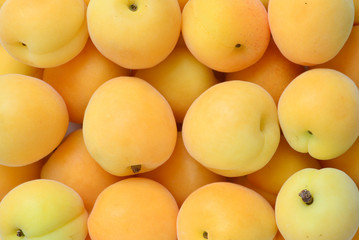 Ripe juicy orange apricots isolated on white background.