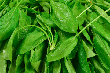 Fresh spinach leaves as background.