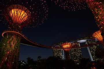 Singapore night life