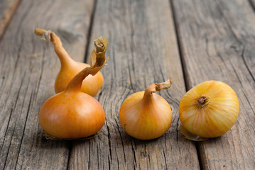 onions on weathered wooden table background