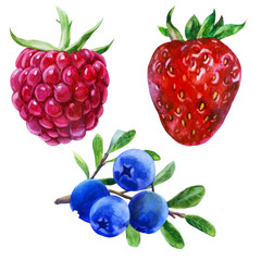 Watercolor illustration, set. Raspberries, strawberries, blueberries on a branch.