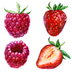 Watercolor illustration, set. Raspberries on the side, from different angles. Strawberry berry on the side, half of the cut strawberries.