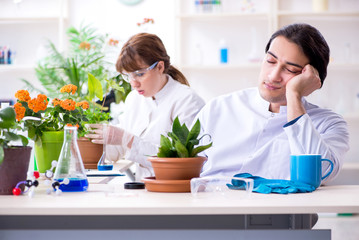 Two young botanist working in the lab 