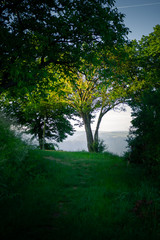 Summer at the Middle Rhine Valley