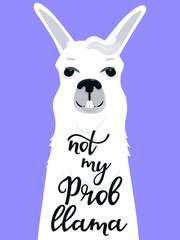 Not my Probllama hand drawn lettering. Funny llama. Adorable alpaca. Portrait of guanaco.