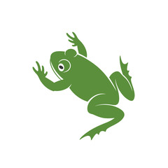 Green frog. Abstract frog on white background