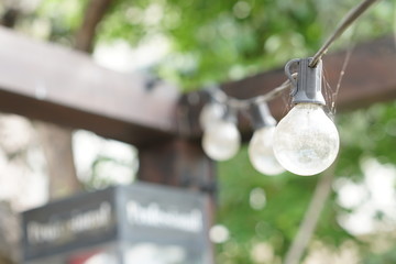 bottle of wine and green leaves