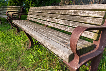 Naklejka premium 公園のベンチ