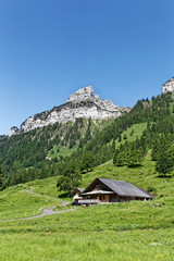 Fototapeta na wymiar Vallée de Justistal dans les Alpes Suisses
