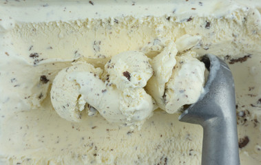 closeup scooping ice cream cookies & Cream, Food concept, Blank for design.