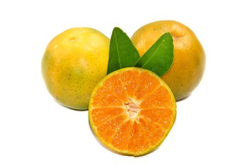 orange on white background