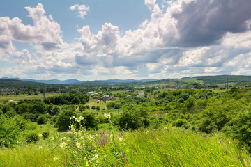 green field and blue sky with white clouds