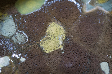 Black and green spots mold fungus on food,bacteria disease,healthy concept.