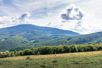 mountainous countryside in early autumn. meadows in weathered grass. warm september weather. sunny day with cloudy sky