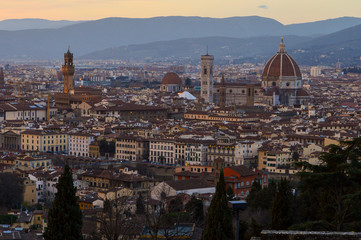 Fototapeta na wymiar Florence skline