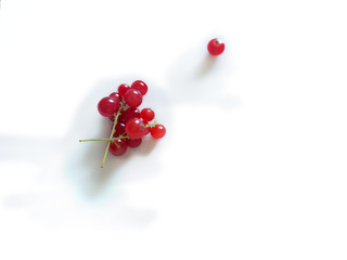 Naklejka na ściany i meble Top view on two small sprig of red currant and one separate berry on the white plate with shadows, lighted by the sun.