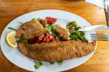 Breaded catfish lunch