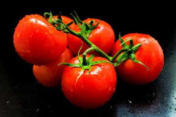 A branch of red tomato is isolating on a black background. Close-up.