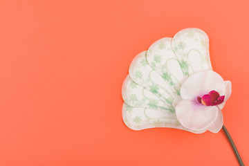 Sanitary napkins, Panty liners and orchid flower on coral background. Feminine hygiene products