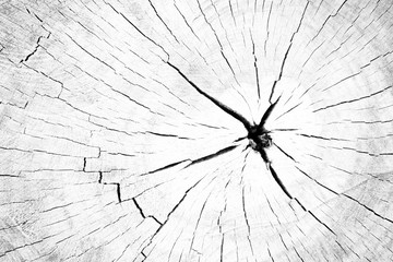 Old wood texture or background	