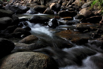 Forest river waterfall view.Mountain stream with blurred motion of waterfall.