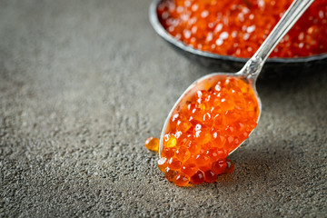 Close-up delicious red caviar in a spoon on a dark concrete background. With copy space